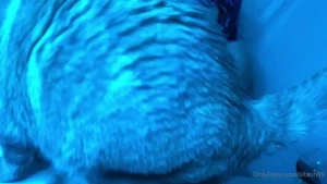 Hit a little interruption in a cute video i m making for y all