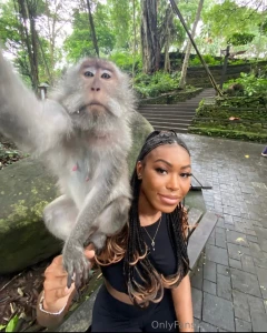 What in the monkey is happening here
