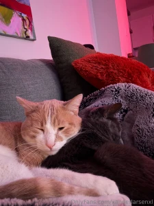 A rare family photo