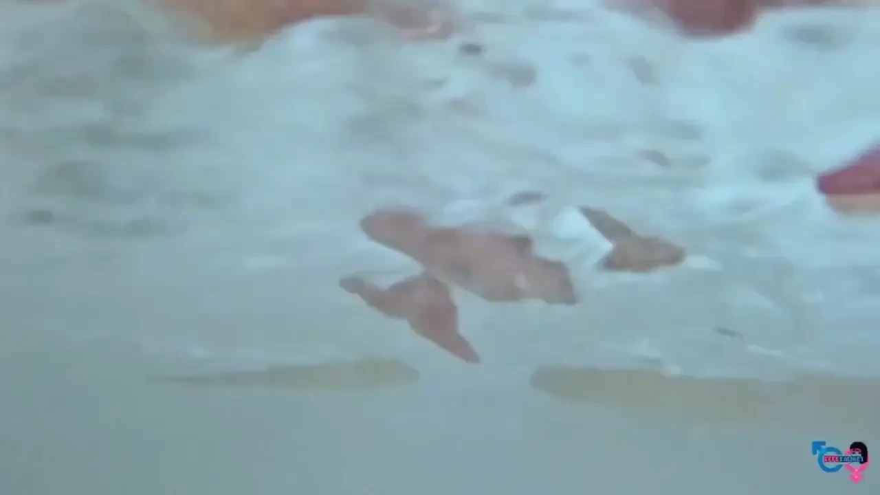 Quando il commesso ci ha venduto la go pro chissa se si immaginava che 