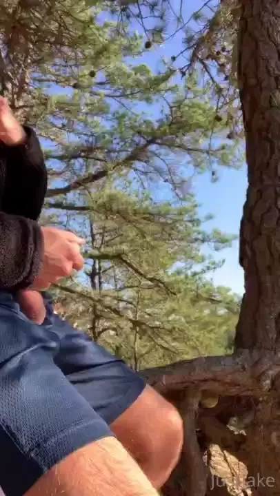 Pup off his leash playing with my wood in the woods 