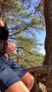 Pup off his leash playing with my wood in the woods