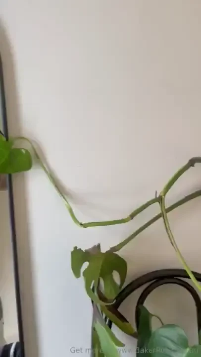 Would you fellas like some gear photos 