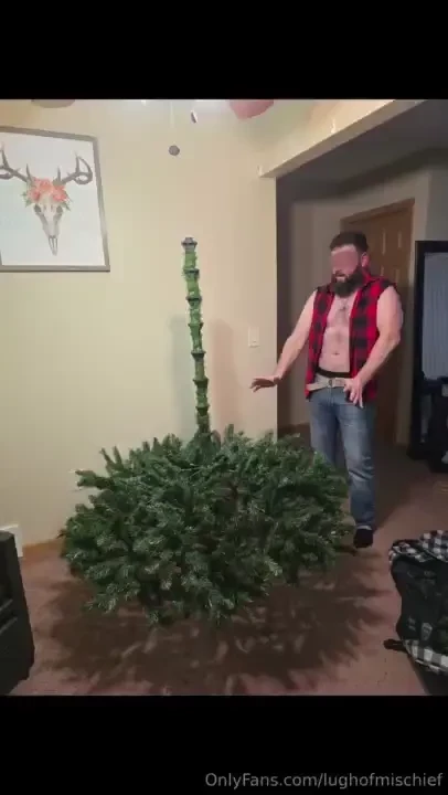 Lets put up a christmas tree it seems the christmas magic i used came 