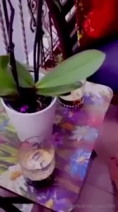 Inizia dai piedi a leccarmi lentamente buongiorno