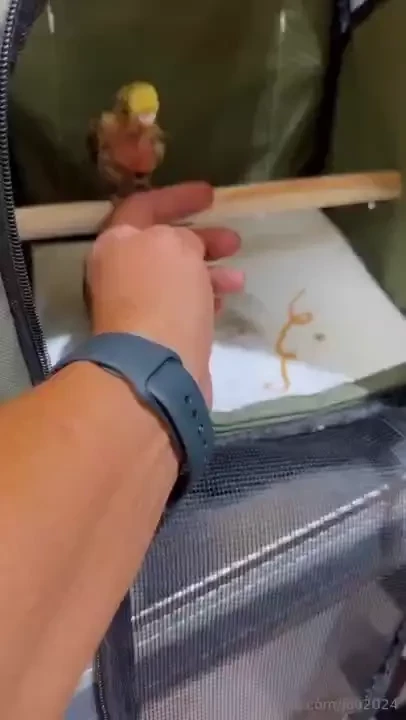 Lei una mia cliente si chiama titti 