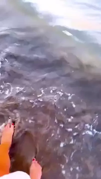 Portami ovunque portami al mare portami dove non serve sognare 