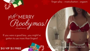 Flash sale have a very rooby xxx-mas