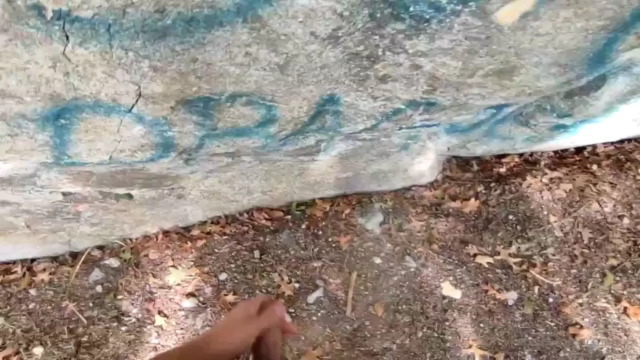 Went for a morning walk almost got caught but had to come back to cum part 2 