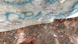 Went for a morning walk almost got caught but had to come back to cum part 2