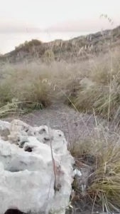 Such an amazing sunset