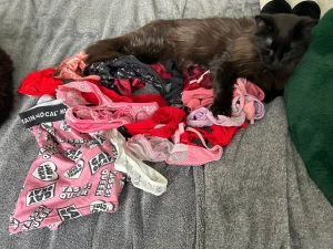 Excited to announce 20 days of valentines fun one new look every day