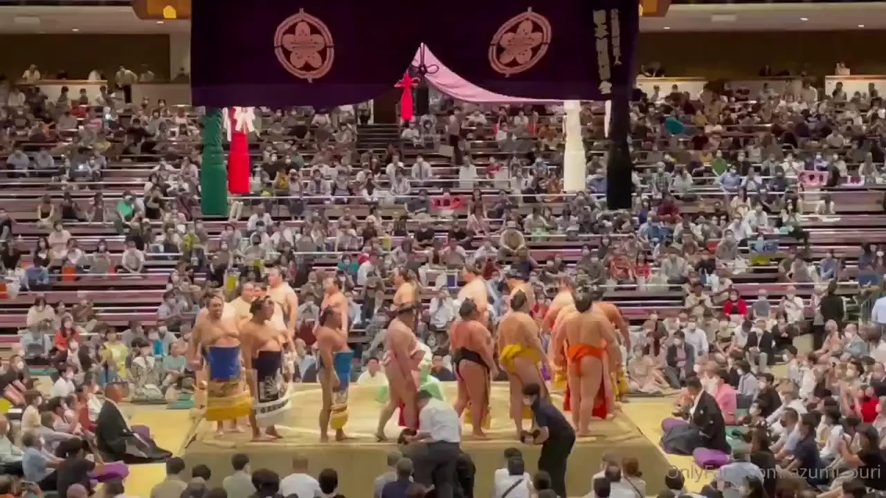 2 o o i went to my second sumo match o p this time i went after 