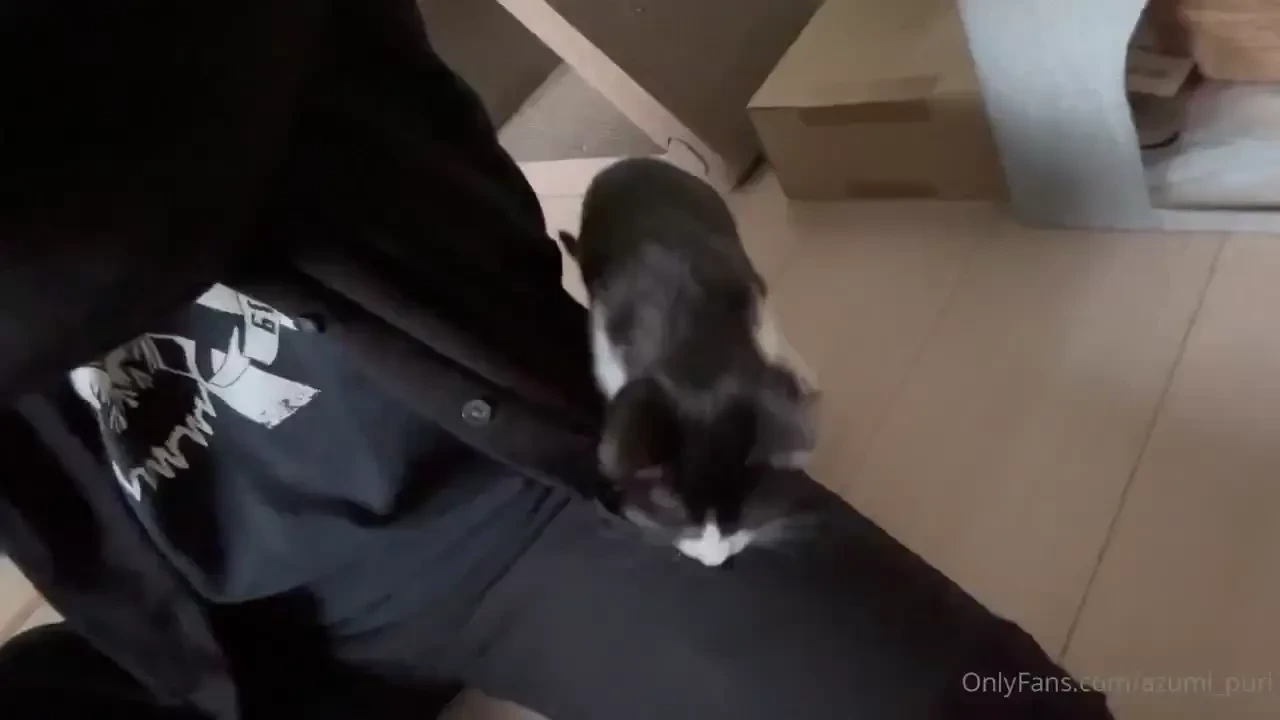 15 i spent new year s day at my parents house for the first time in 