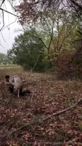 Eat organic amp stay dangerous kids