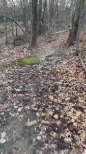 Back to my 100 minute rucks with 50 in the vest