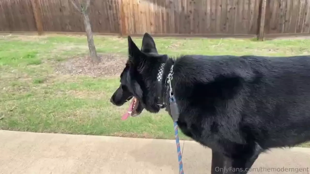 Garage has been kind of fucksville since i started the sauna but here 