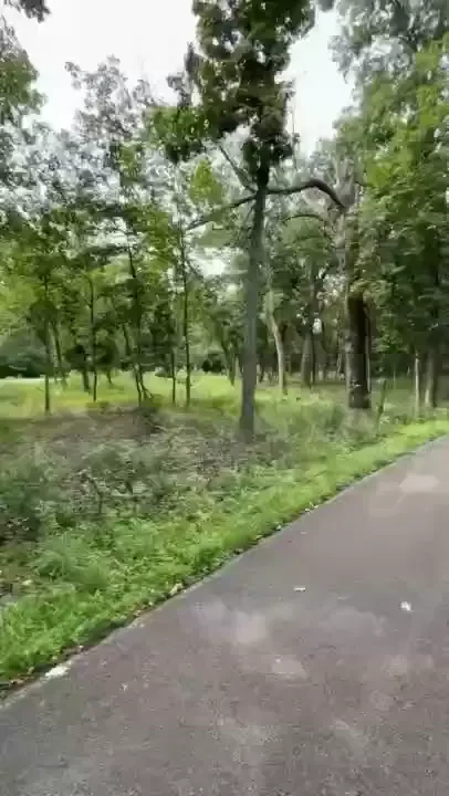 I decided to go rollerskating today and i fell luckily this kind man 