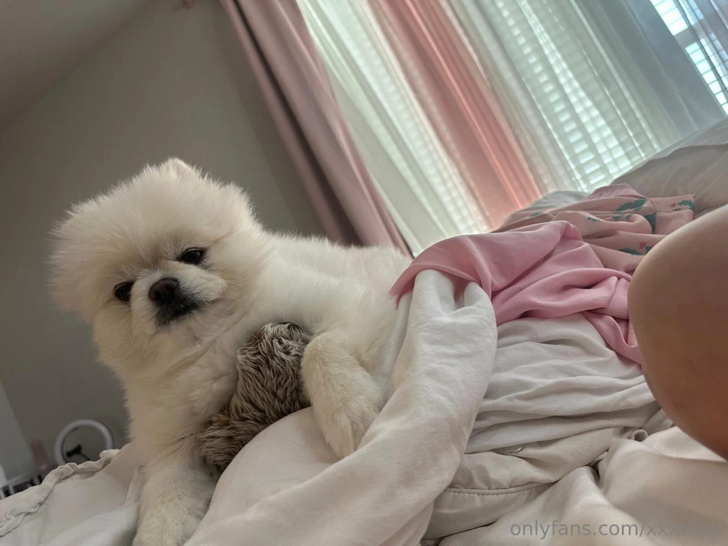 Hobson wanted to say good morning to everyone 