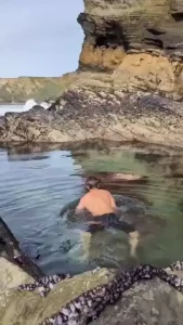 Quick swim before getting undressed