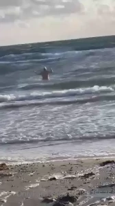 Have you guys been in the ocean yet this year
