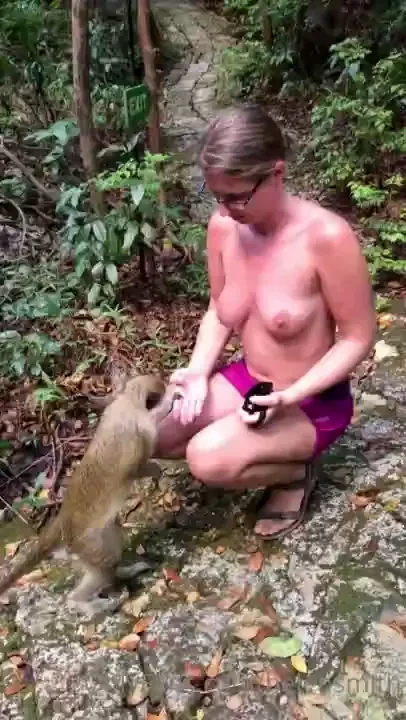 Take a look at this cheeky monkey probably the best wildlife video 