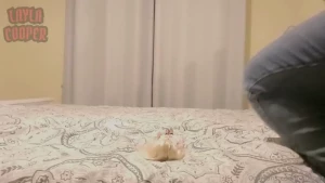 While i was in boston to record a custom i found a naughty little lady