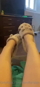Slippers from a good pet