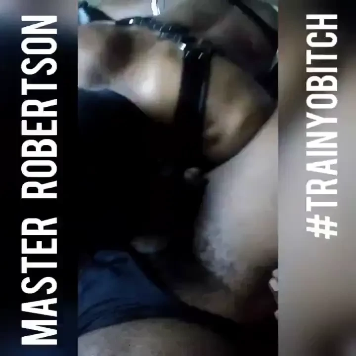 Xxxclusive trainyobitch leashyobitch more of my black stallion son 