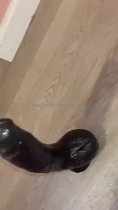 Wanna see what caused this mess 