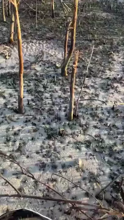 When are we recreating this 