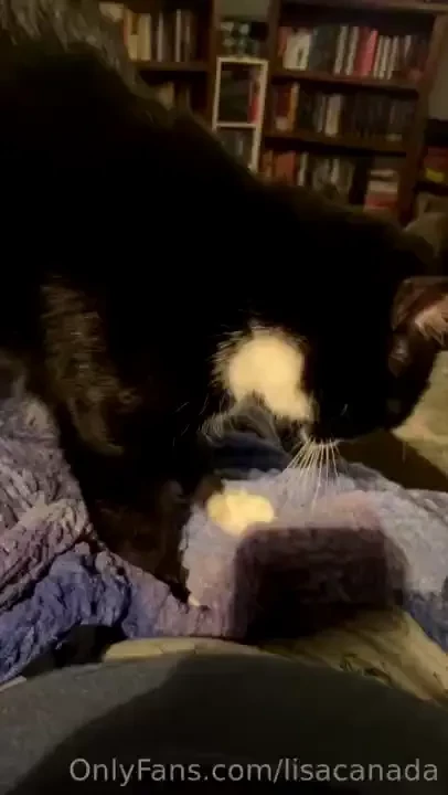 My pussy is busy making biscuits 