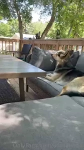 Enjoying our time on our new deck