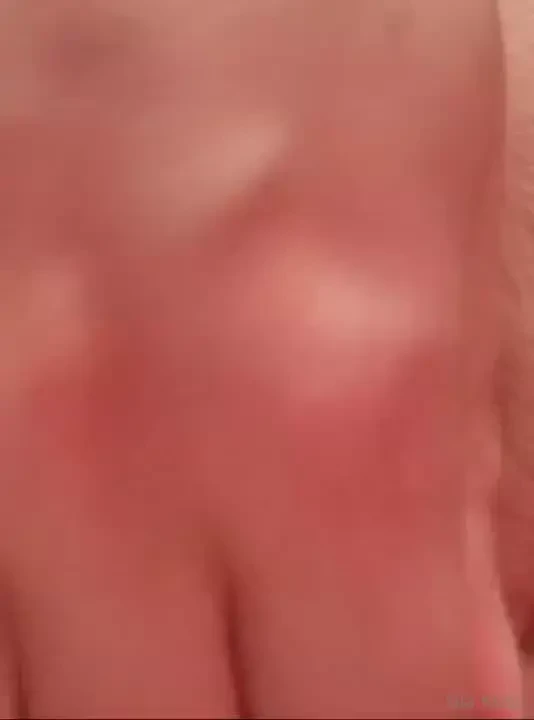 Desayuno comida y cena 