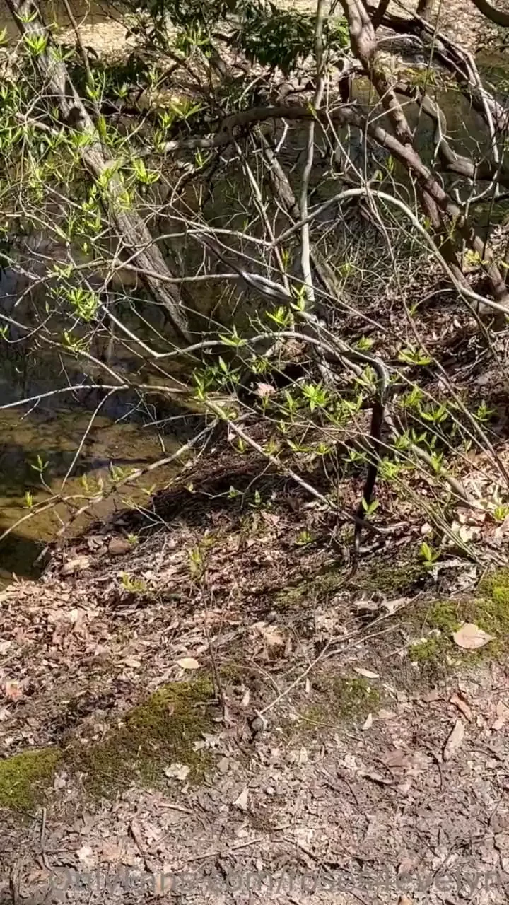 Omggggggg look what me amp my girl found 