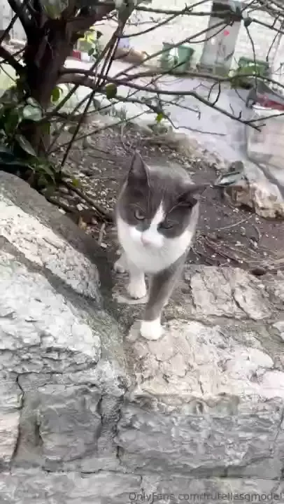 Montenegro kotor old town the city got its present name from the 