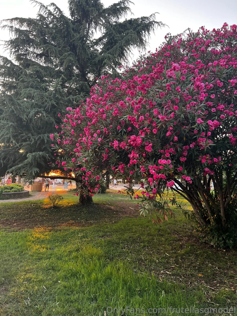 I m going to write a whole series of posts about myself would you be 