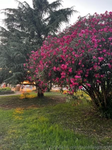 I m going to write a whole series of posts about myself would you be