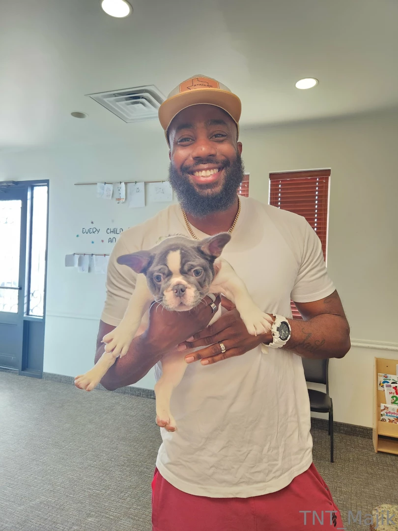 Omg i want this frenchieeeeeee 