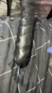 Naughty fuck machine video
