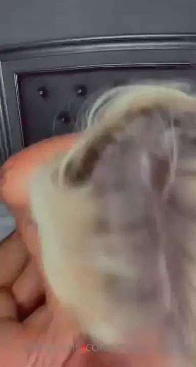 Happy father s day daddy what videos do you like lmk 