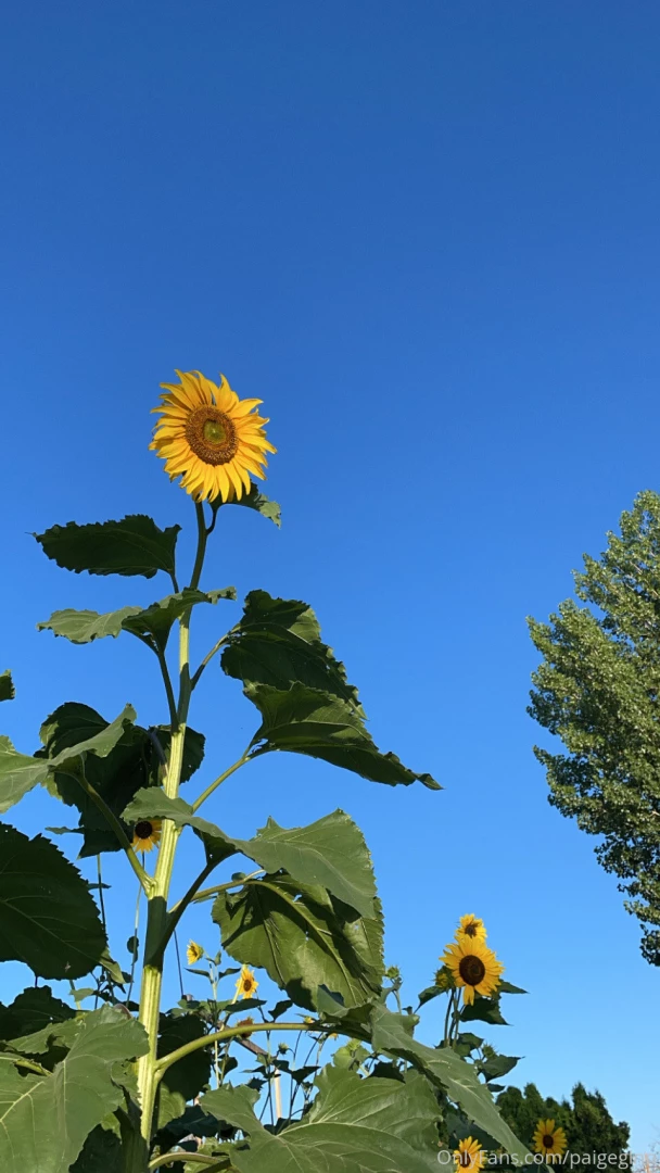 Went to utah for the week to visit friends amp family where did you part 6 