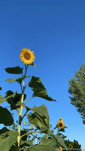 Went to utah for the week to visit friends amp family where did you part 6