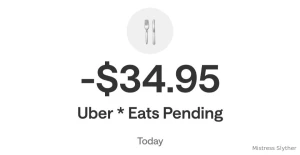 Which of you paypigs want to buy mistress brunch kinkyb00ty it s my