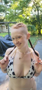 This little cow is missing the warmer weather part 2