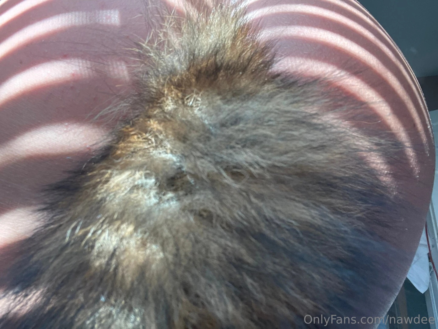 What is this in my ass part 2 