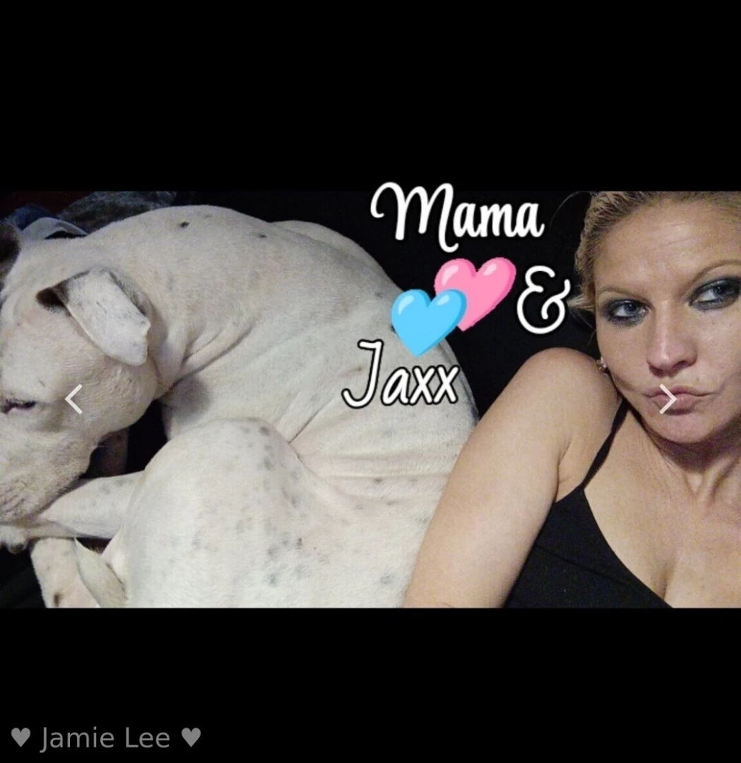Please help my friend and her dog jaxx needs our help 