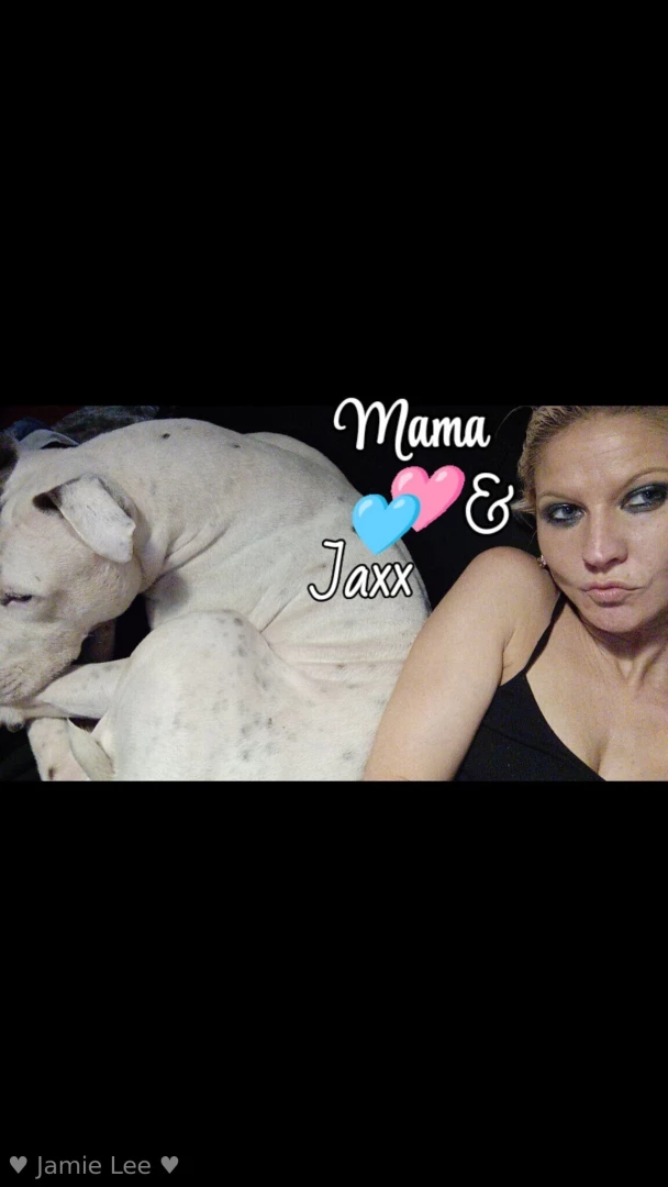Please help my friend and her dog jaxx needs our help part 5 