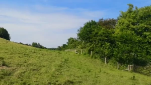 It was such a hot day when i went out for a frolic in the meadows i