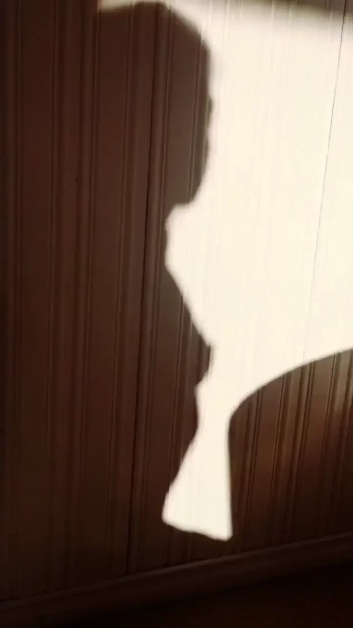 The sun came up and threw itself upon me flung my nude silhouette up 